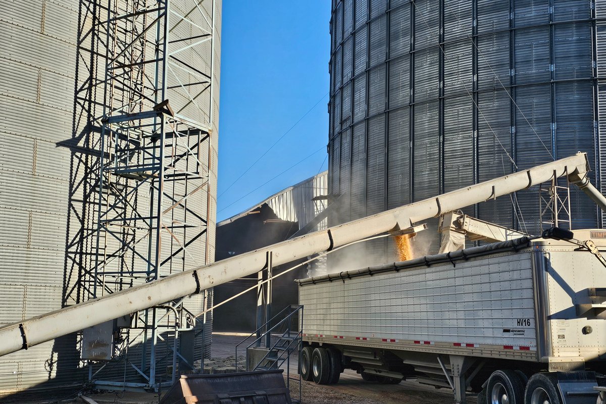 Grain handling equipment and conveyor unloading